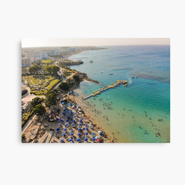 Cyprus Paradise - Fig Tree Protaras Canvas Print