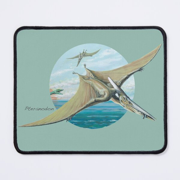 Item preview, Pteranodon (Circle Background) designed and sold by David Roland.