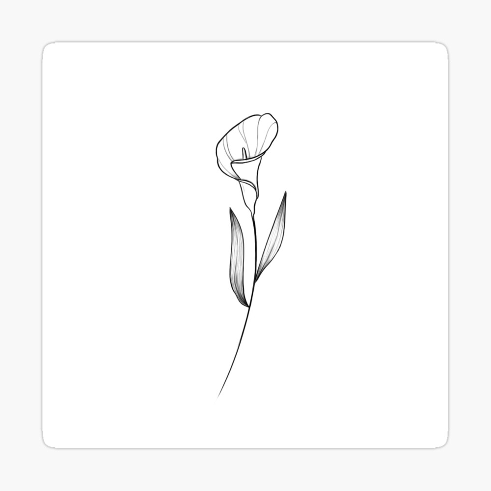 Black and White Calla Lily Flower Tattoo Sticker  Pin for Sale by  FProdigy98  Redbubble