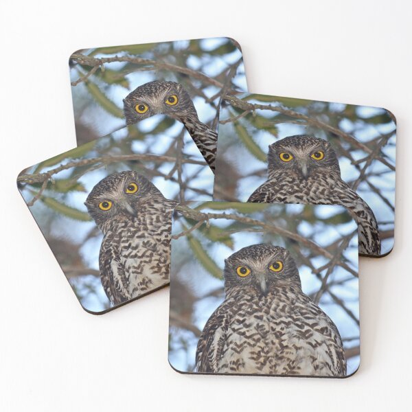 Item preview, Australian Powerful Owl  designed and sold by Cloudlingpics.