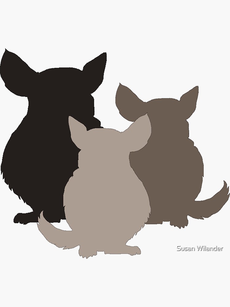 Chinchilla mania by susanw