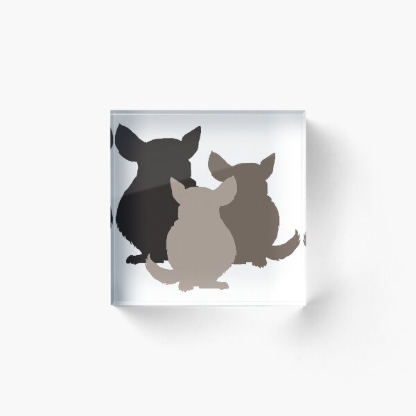 Chinchilla mania Acrylic Block