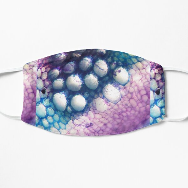 Blue & Purple Bubbles Flat Mask