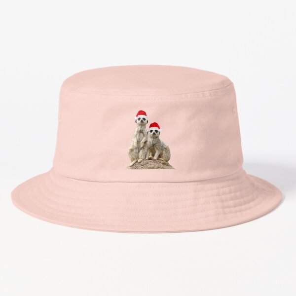 Merry Christmas Meerkats Bucket Hat