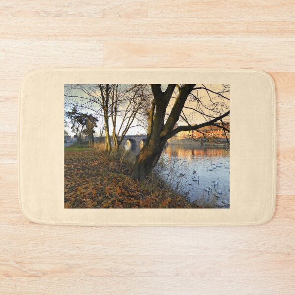 Item preview, Autumn in Worcester designed and sold by LeRoyM.