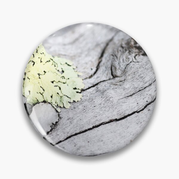 Item preview, Drift wood designed and sold by EmField.