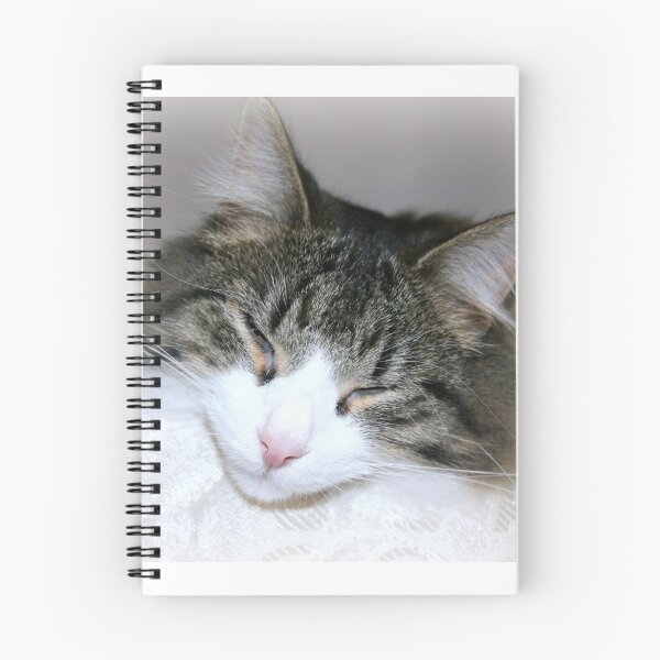 Item preview, When Harry is good......... designed and sold by Lynne Prestebak.