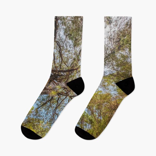 Item preview, Forest, trees and blue sky - Landscape Photography  designed and sold by ohaniki.
