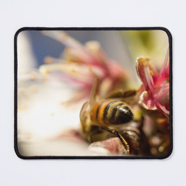 Item preview, Spring Time designed and sold by EmField.