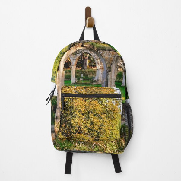 Item preview, Hailes Abbey Ruins designed and sold by ScenicViewPics.
