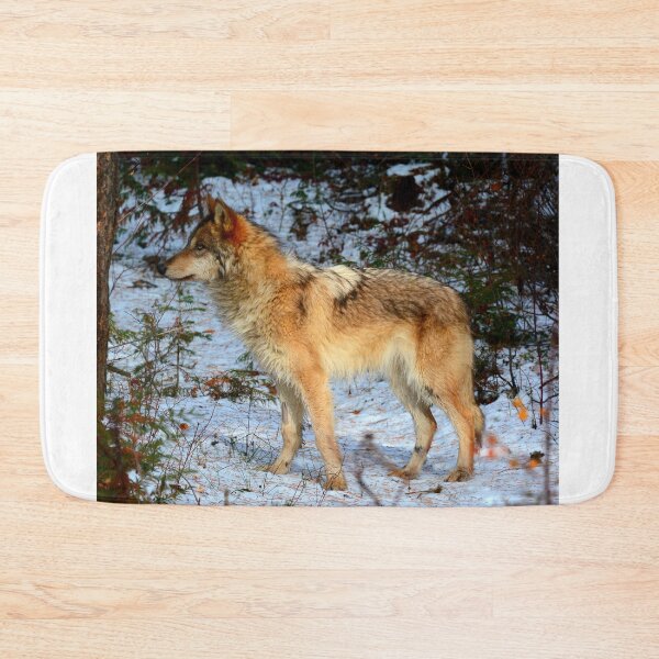 Item preview, Arctic wolf photo with high resolution quality designed and sold by Allyouneed-2.