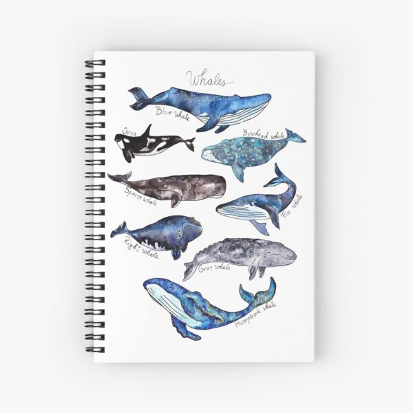 Item preview, Whales designed and sold by complete77.