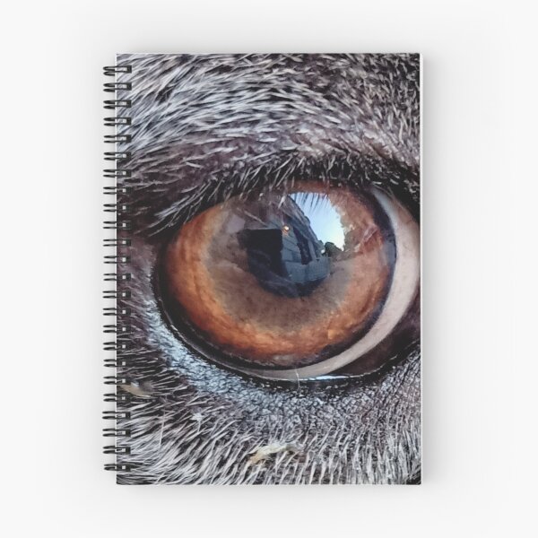 Item preview, Faithful eye designed and sold by vibeno1.