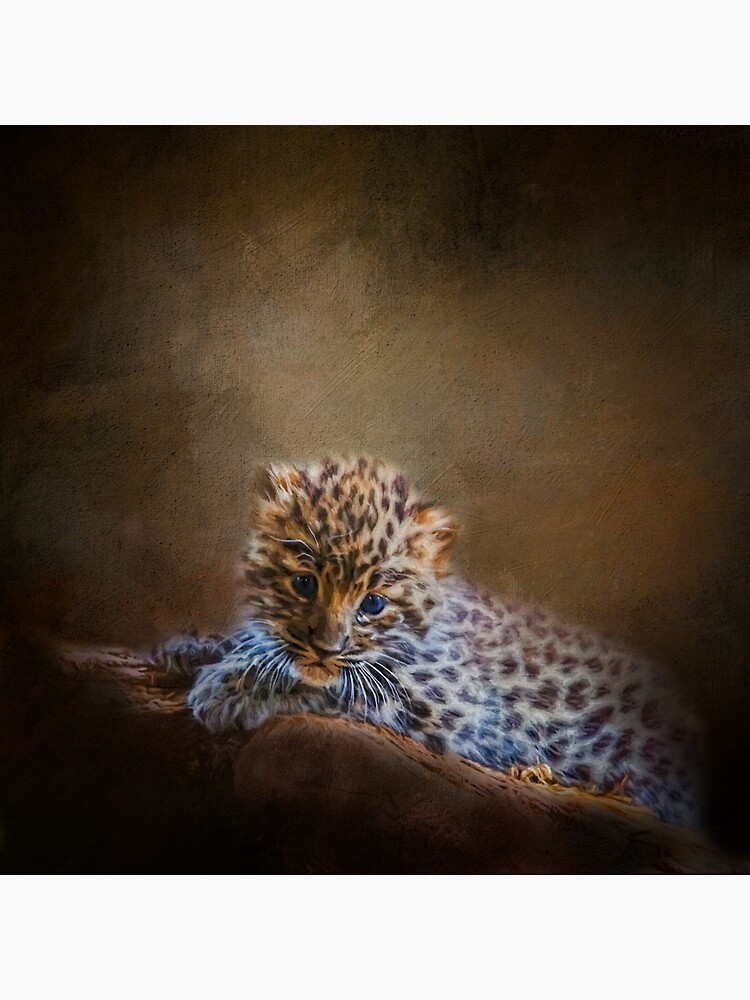 Cute painting amur leopard cub