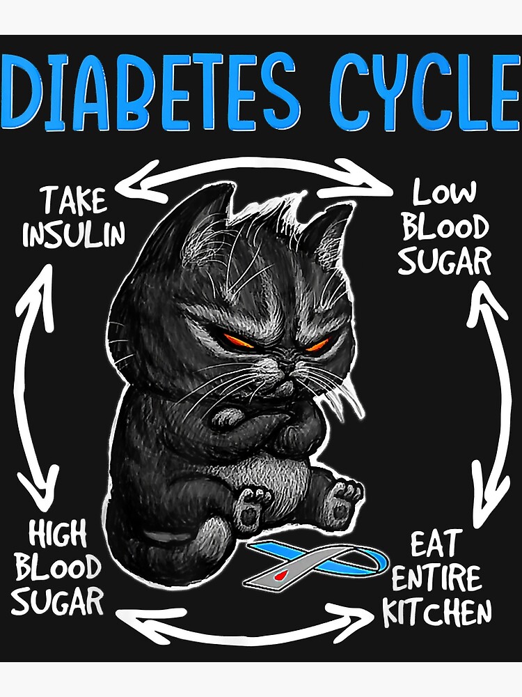 Funny Cat Diabetic Life Cycle Diabetes Awareness Angry Cat Poster For Sale By Kataddiexmz