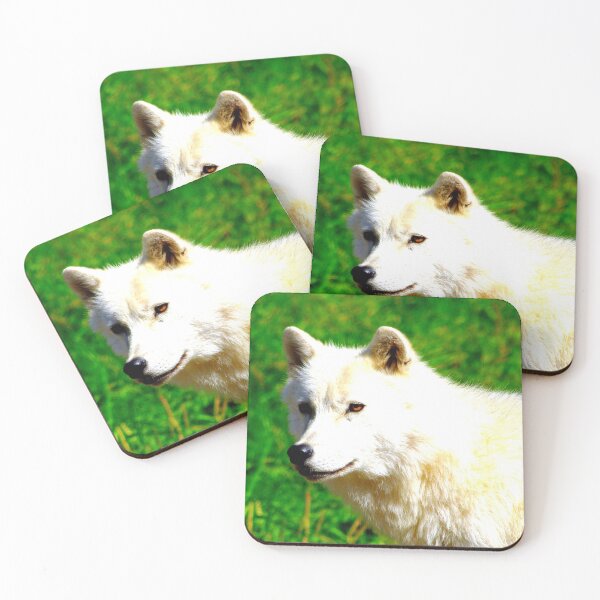 Item preview, Arctic wolf photo with high resolution quality designed and sold by Allyouneed-2.