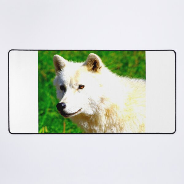 Item preview, Arctic wolf photo with high resolution quality designed and sold by Allyouneed-2.