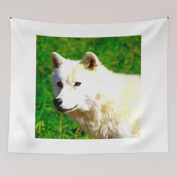 Item preview, Arctic wolf photo with high resolution quality designed and sold by Allyouneed-2.