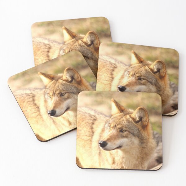 Item preview, Arctic wolf photo with high resolution quality designed and sold by Allyouneed-2.