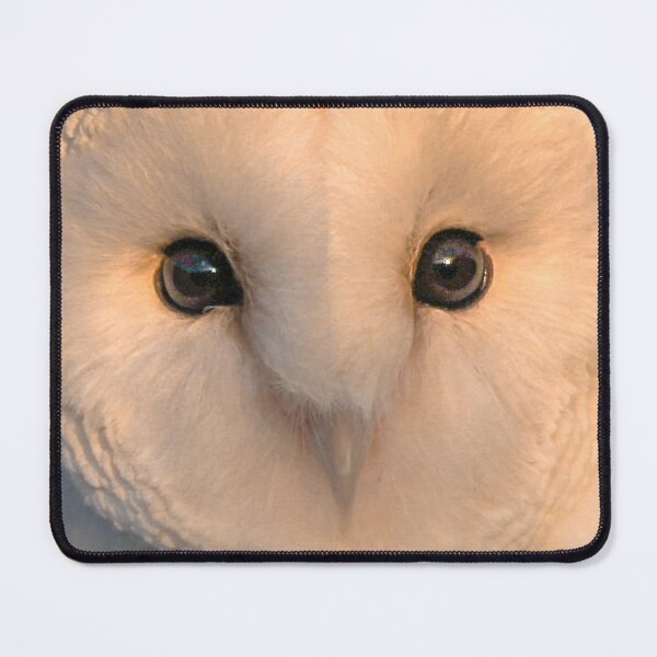 Item preview, The Face of a Barn Owl designed and sold by Dalyndigital Photography.