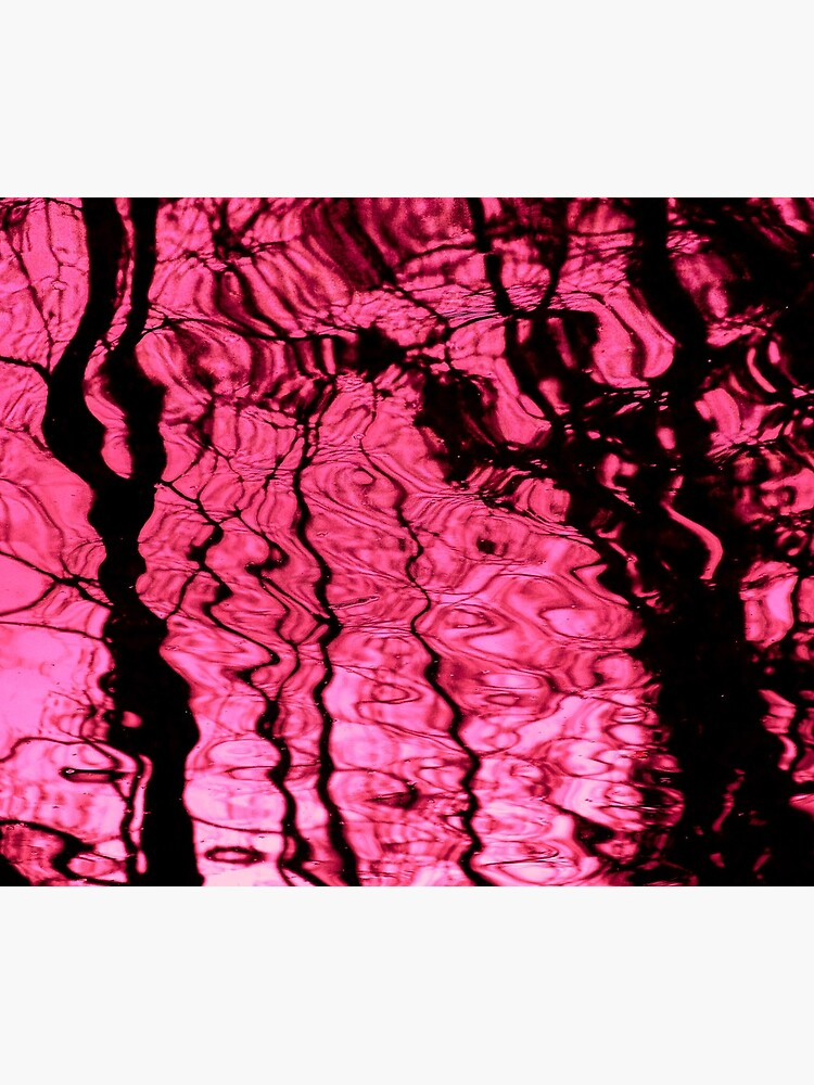 Cold reflections no3 rose by Kiran-Fine-Art