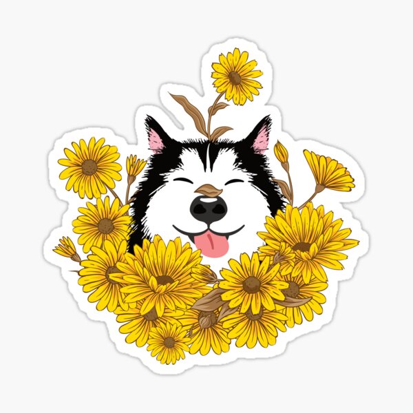 Siberian Husky Dog and Sunflowers Sticker