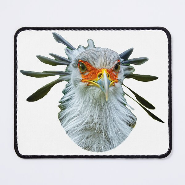 Item preview, The Look - Secretary bird designed and sold by Dalyndigital Photography.
