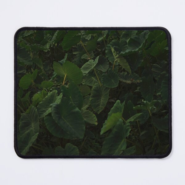Item preview, Nature Leaves #10 designed and sold by anafrancisconi.