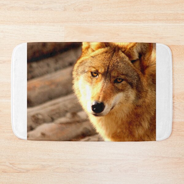 Artikelvorschau, Arktisches Wolfsfoto in hochauflösender Qualität entworfen und verkauft von Allyouneed-2.