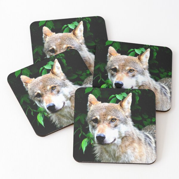 Item preview, Arctic wolf photo with high resolution quality designed and sold by Allyouneed-2.