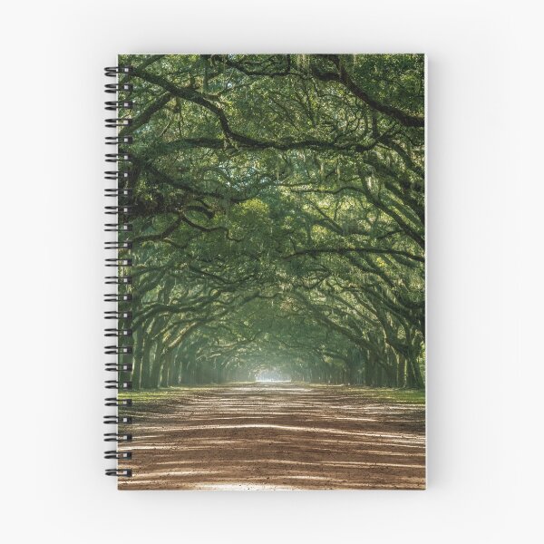 Item preview, Wormsloe Plantation Oak Lane designed and sold by arcticshadows.