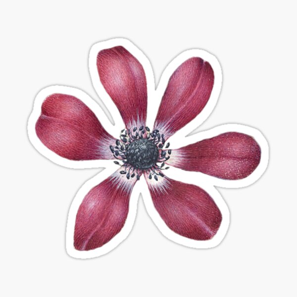 Vintage Flower Sticker For Sale By Maidenwood Redbubble