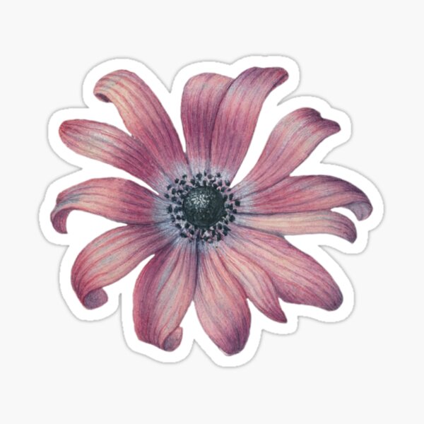 Vintage Flower Sticker For Sale By Maidenwood Redbubble