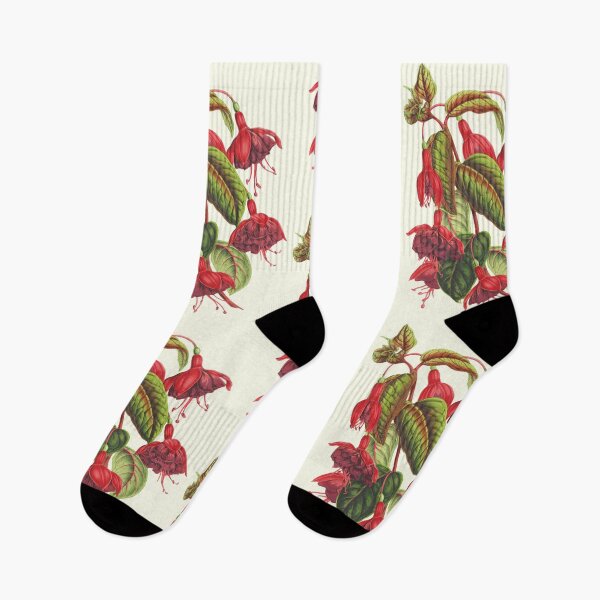 Item preview, Fuchsia flowers - botanical illustration designed and sold by chimakingthings.