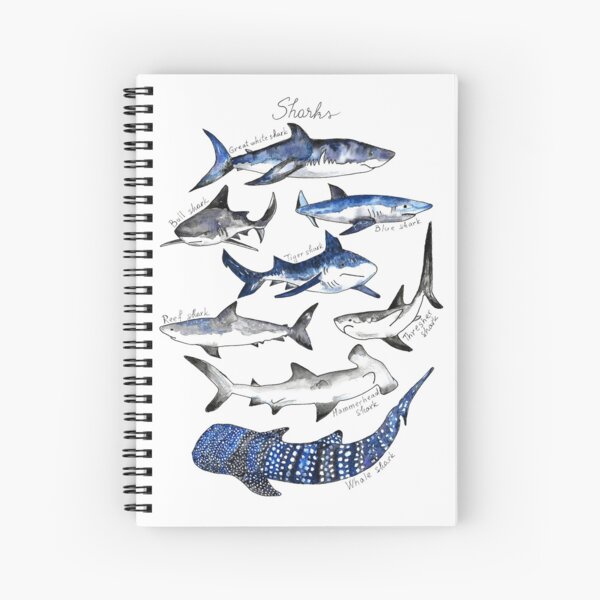 Item preview, Sharks Watercolor Chart designed and sold by complete77.