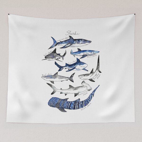 Item preview, Sharks Watercolor Chart designed and sold by complete77.