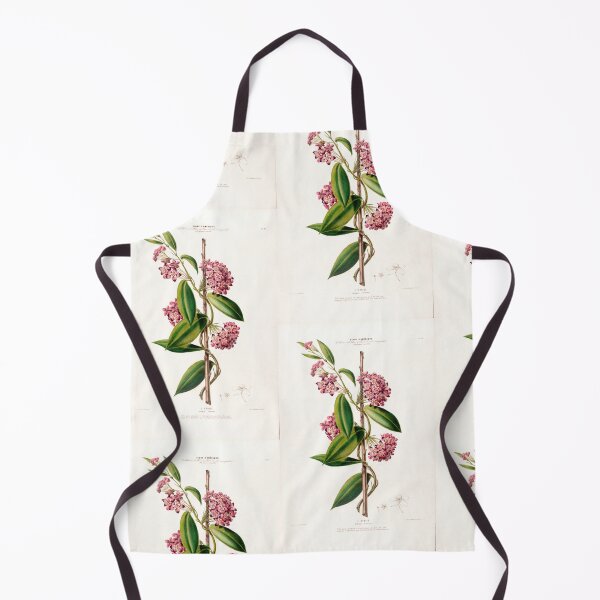 Item preview, Hoya carnosa - botanical illustration designed and sold by chimakingthings.