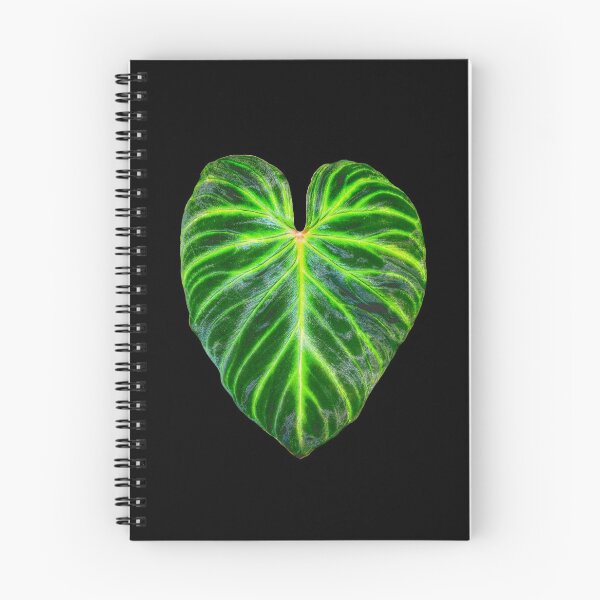 Item preview, Philodendron verrucosum leaf - botanical illustration designed and sold by chimakingthings.
