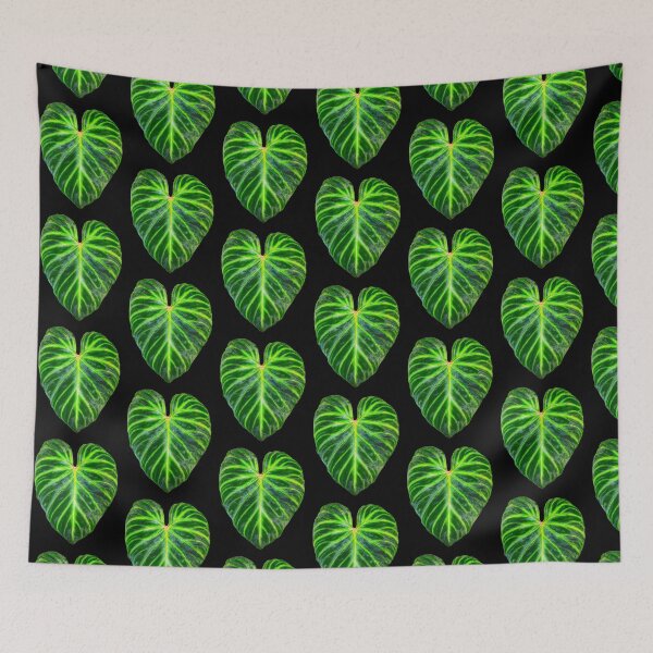 Item preview, Philodendron verrucosum leaf - botanical illustration designed and sold by chimakingthings.