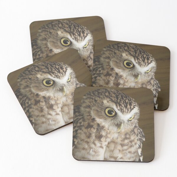 Item preview, Burrowing Owl designed and sold by Bluelizzy.