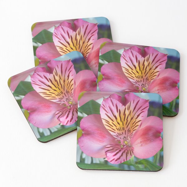 Item preview, Pink Peruvian Lily designed and sold by Bill Spengler's Photographic Thoughts.