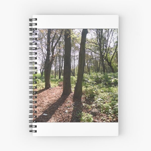Item preview, Sokal Forest, Ukraine designed and sold by MatanTal.