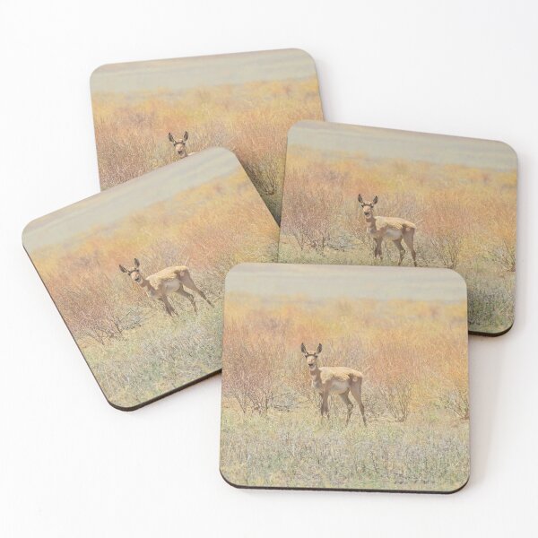 Item preview, Wildlife gifts, pronghorn, nature, wild animals designed and sold by Sandra O'Toole.
