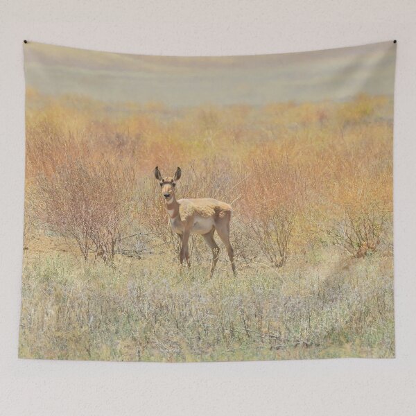 Item preview, Wildlife gifts, pronghorn, nature, wild animals designed and sold by Sandra O'Toole.