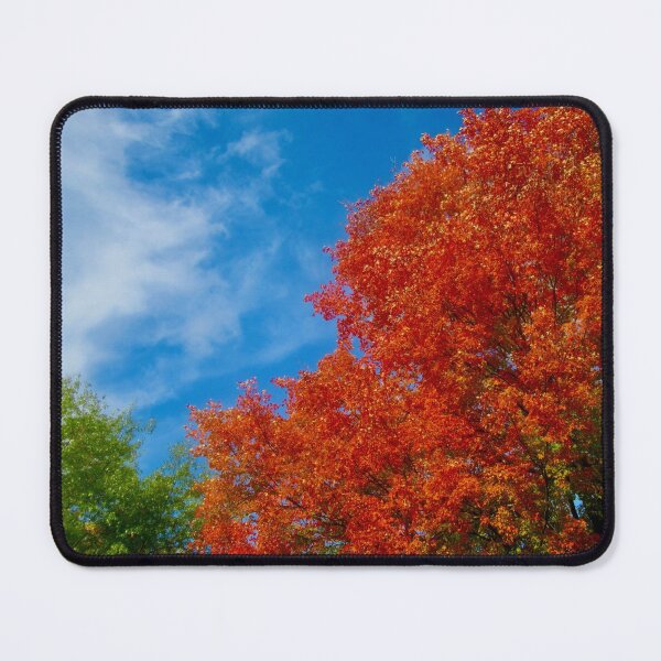 Item preview, Fall colours designed and sold by Shulie1.
