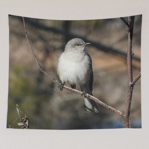 Item preview, Wildlife gifts, northern mockingbird, birds, nature designed and sold by Sandra O'Toole.