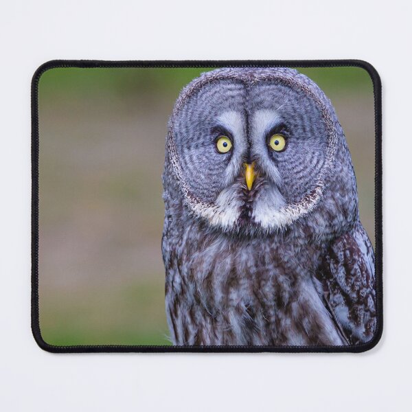 Item preview, Great Grey Owl designed and sold by Dalyndigital Photography.