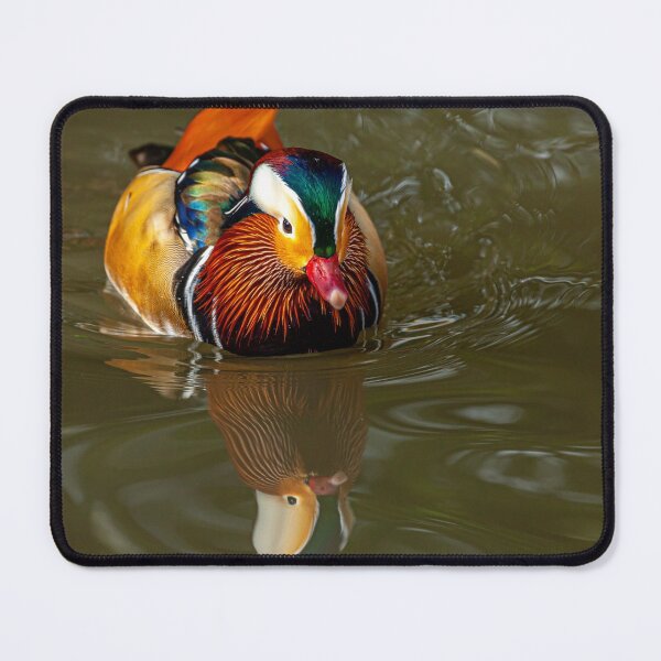 Item preview, Mandarin Reflections designed and sold by Dalyndigital Photography.