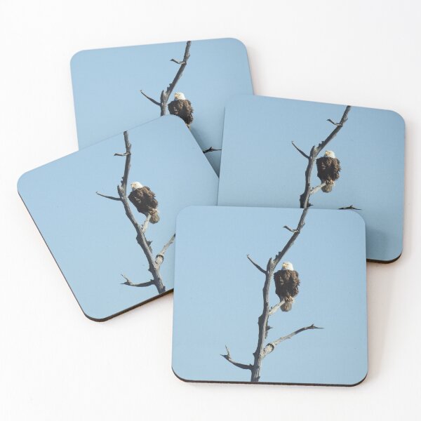 Item preview, Wildlife gifts, bald eagle, birds, nature designed and sold by Sandra O'Toole.
