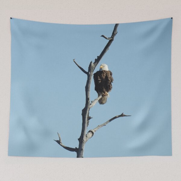 Item preview, Wildlife gifts, bald eagle, birds, nature designed and sold by Sandra O'Toole.